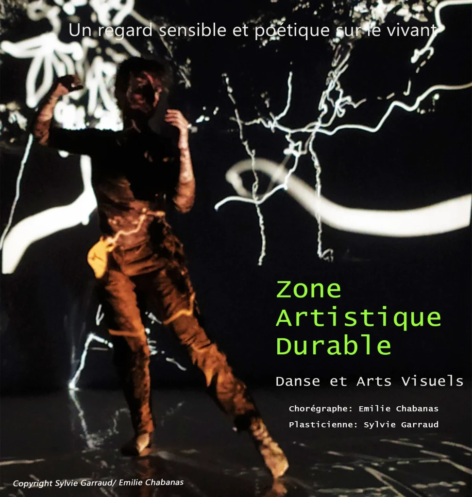 affiche-zad-2